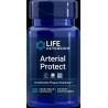 Arterial Protect